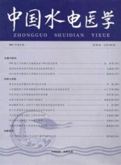 中国水电医学期刊